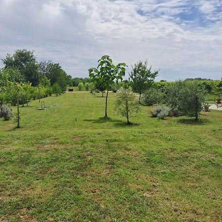 Casa Zafferano - Apartment With Garden Corno di Rosazzo Екстериор снимка
